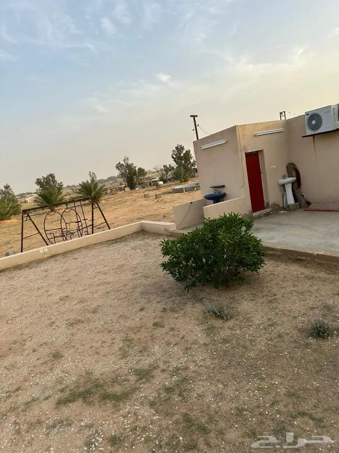 للبيع مزرعة بالجراد 7