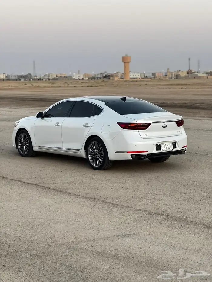 كادينزا 2019 ديزل بانوراما K7 8