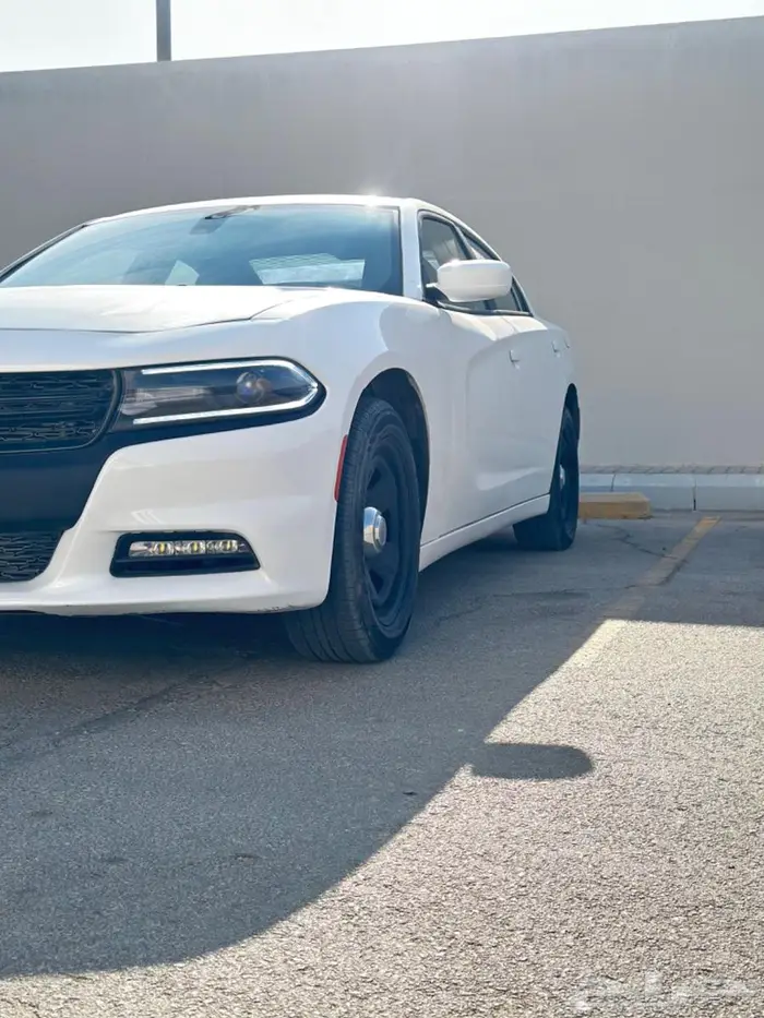 للبيع دوج تشارجر2019 5