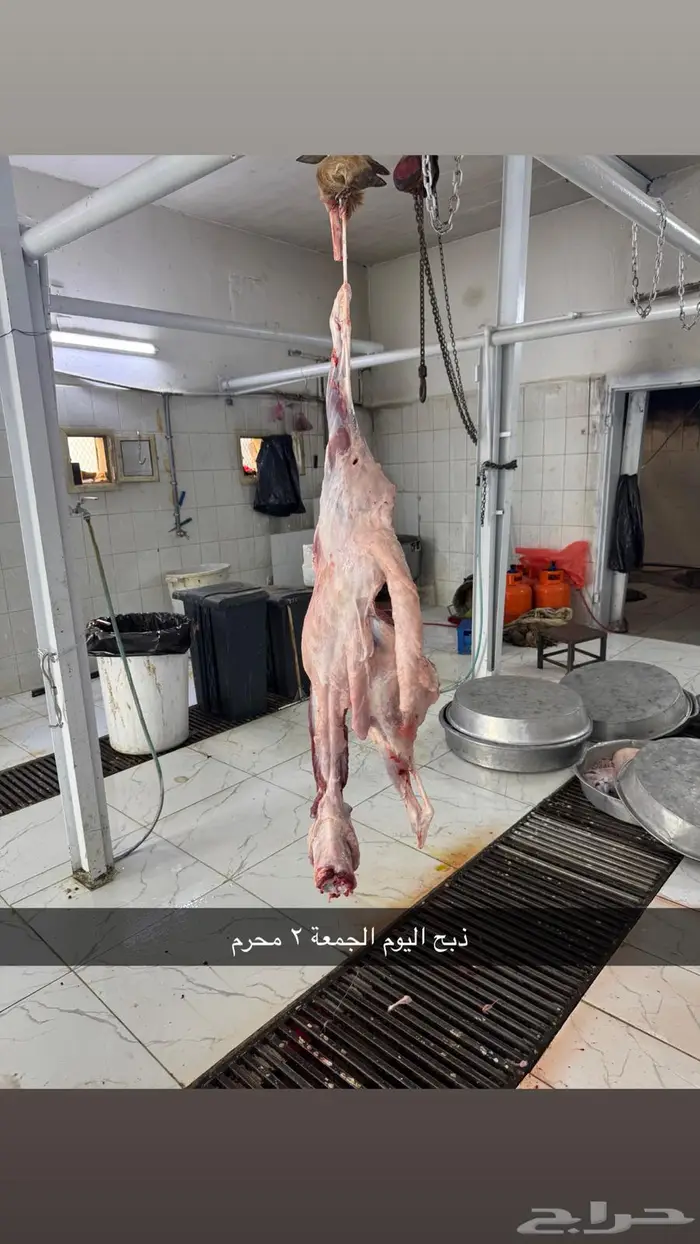 سواكن سمان فوق الوسط ب1050 4