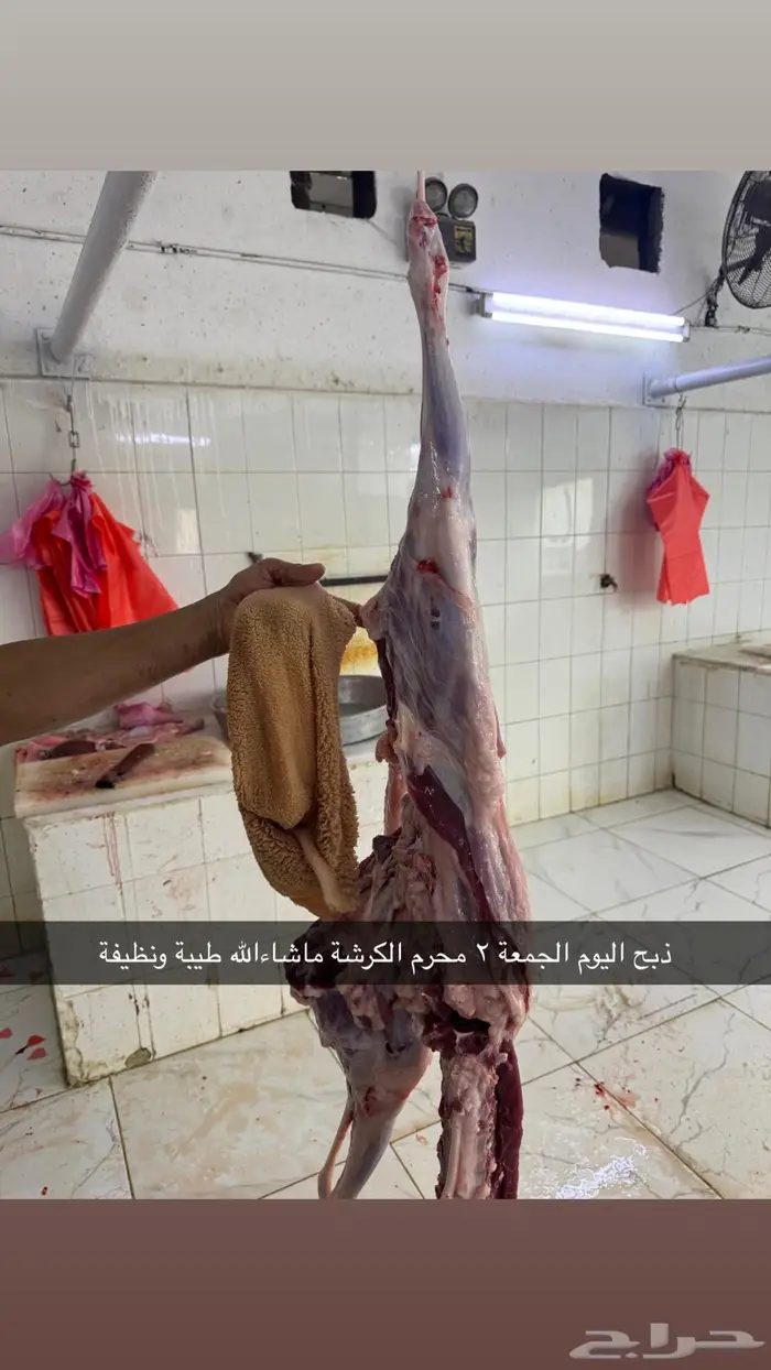 سواكن سمان فوق الوسط ب1050 0