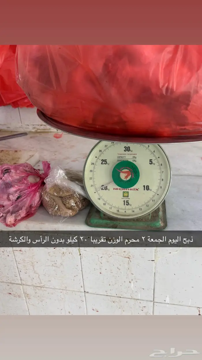 سواكن سمان فوق الوسط ب1050 3