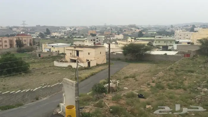 في ابها بالصيف 0