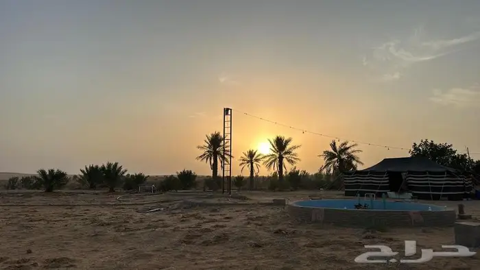 للبيع مزرعة بالجراد 8