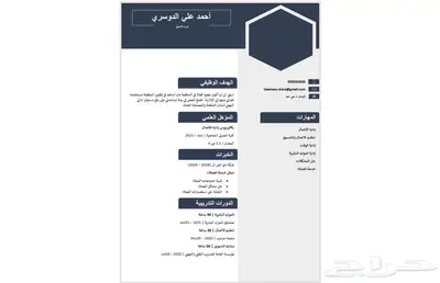 تصميم سيرة ذاتية احترافية قابلة للتعديل بأسعار رمزية 22