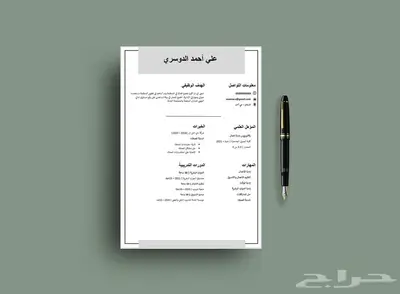 تصميم سيرة ذاتية احترافية قابلة للتعديل بأسعار رمزية 21