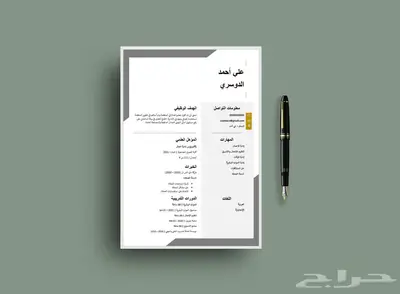 تصميم سيرة ذاتية احترافية قابلة للتعديل بأسعار رمزية 18