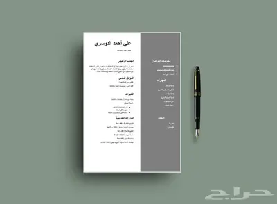 تصميم سيرة ذاتية احترافية قابلة للتعديل بأسعار رمزية 12