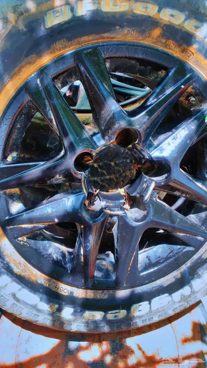 جنوط عدد 4 اربعه جنوط مكحل نظيف مشروطه 1