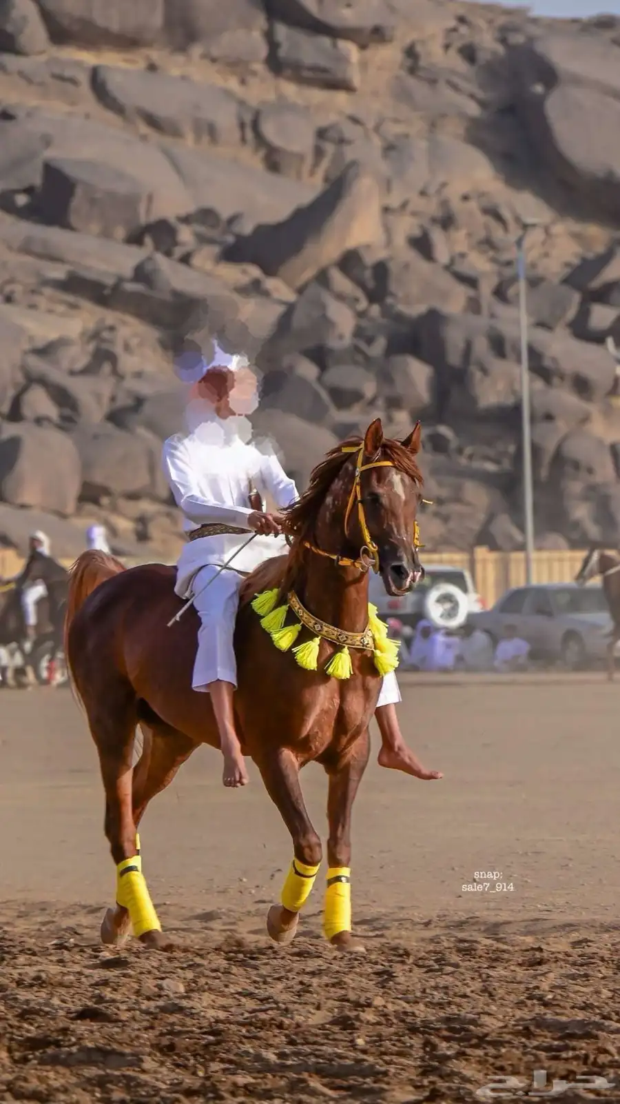 فرس واهو 1