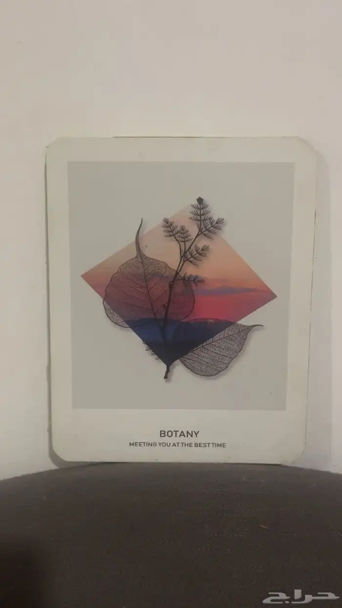 لوحات جدارية فنية مقتنية للبيع 8