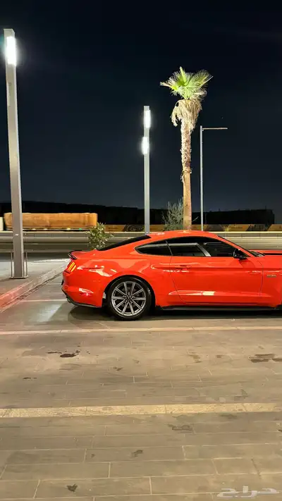 موستنق GT بريميوم ممشى 73km 12