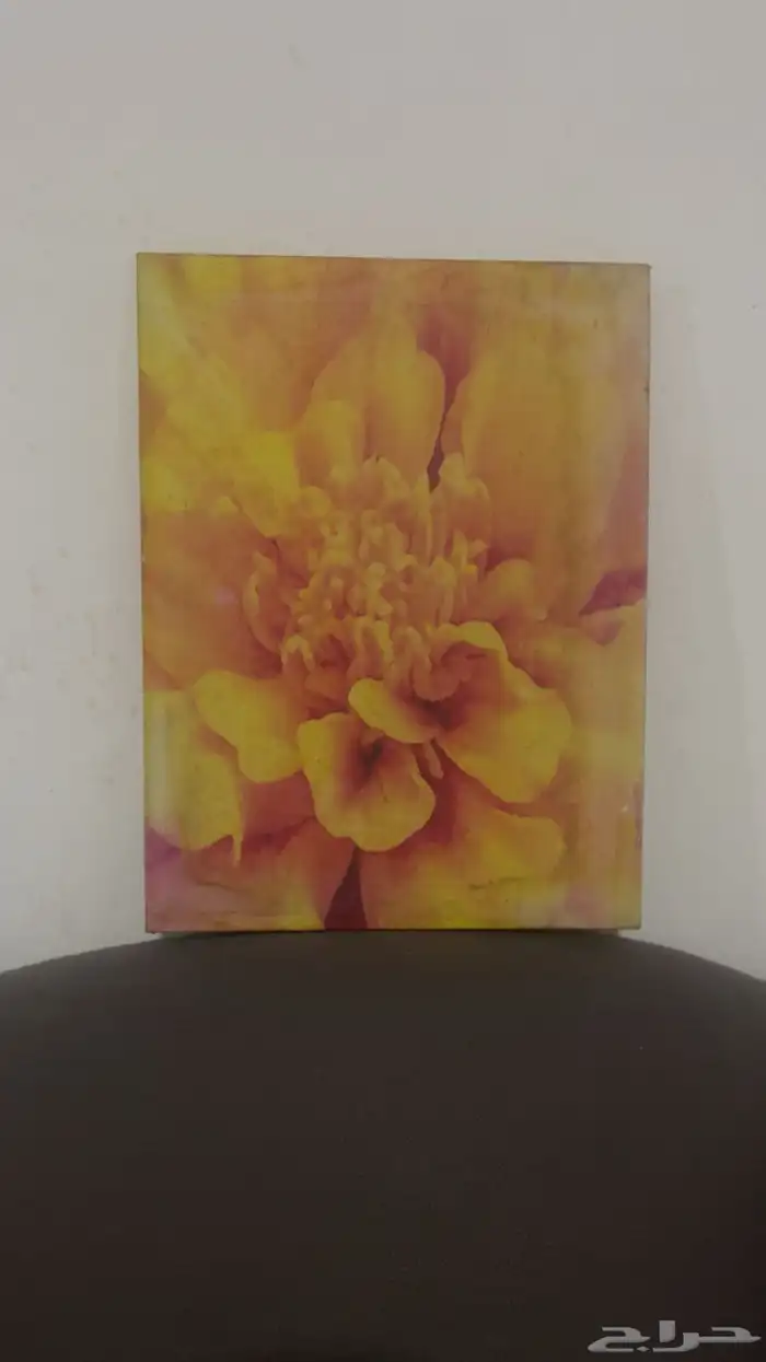 لوحات جدارية فنية مقتنية للبيع 6