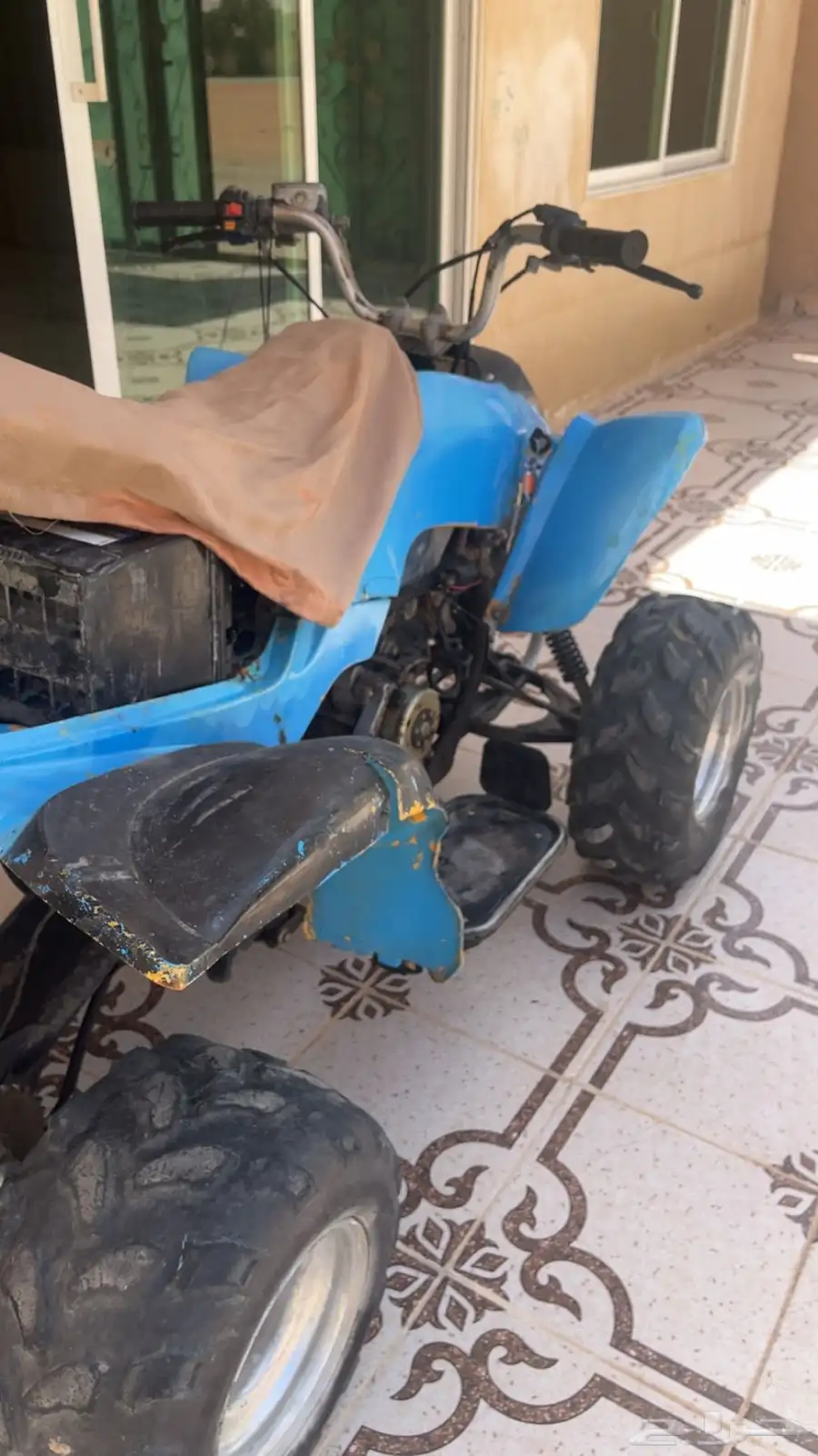 دباب 10