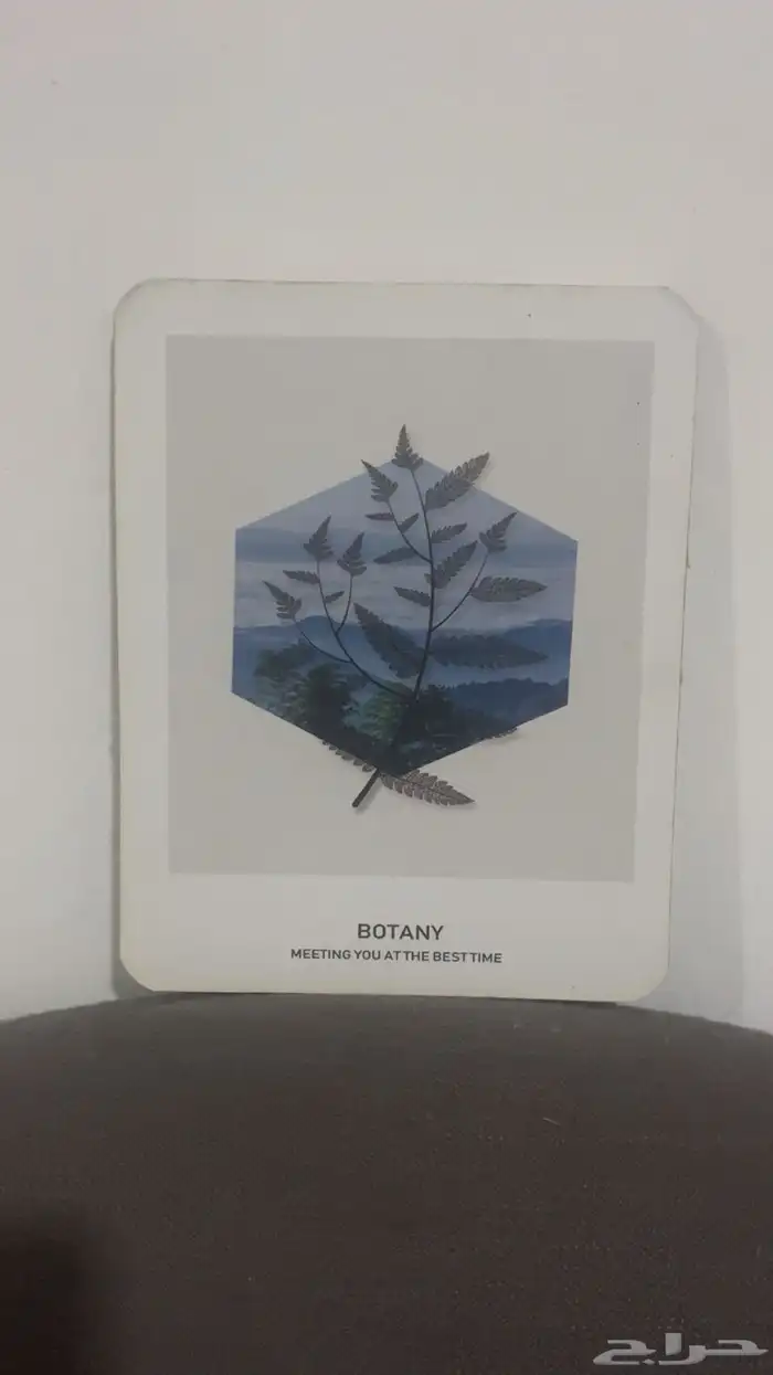 لوحات جدارية فنية مقتنية للبيع 9