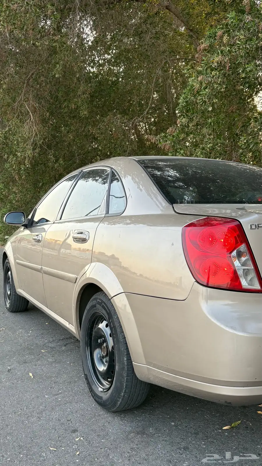 اوبترا 2008 9