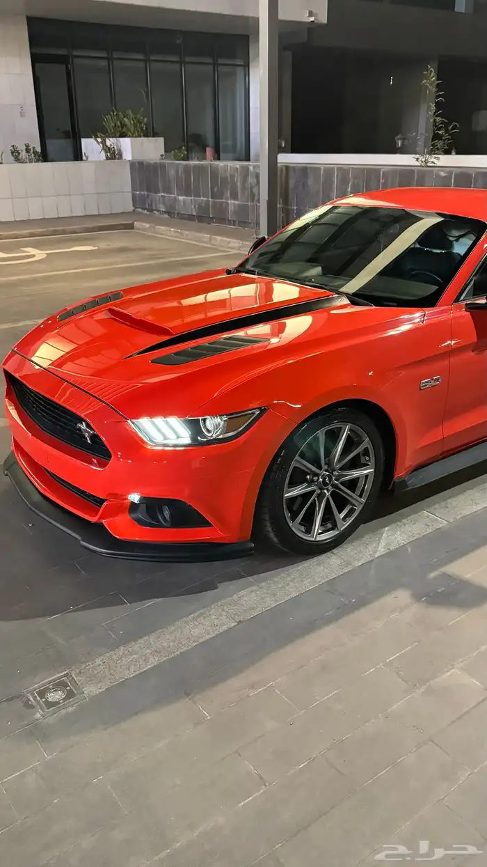 موستنق GT بريميوم ممشى 73km 9