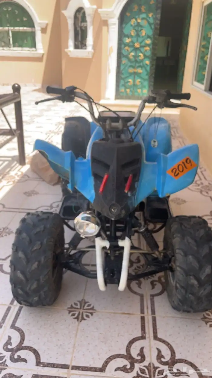 دباب 1