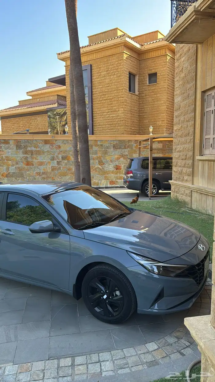النترا 2023 2
