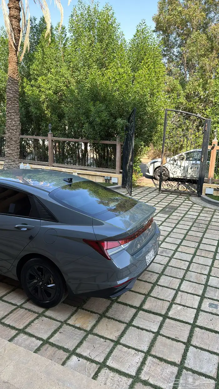 النترا 2023 1