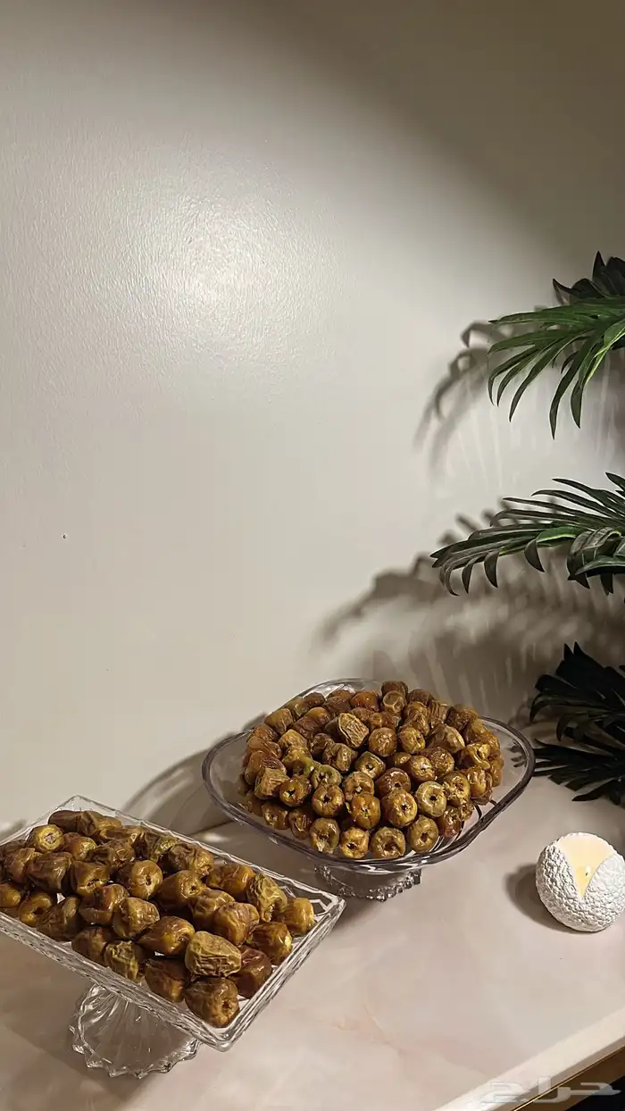 تمر الترف تمرمحشي 13