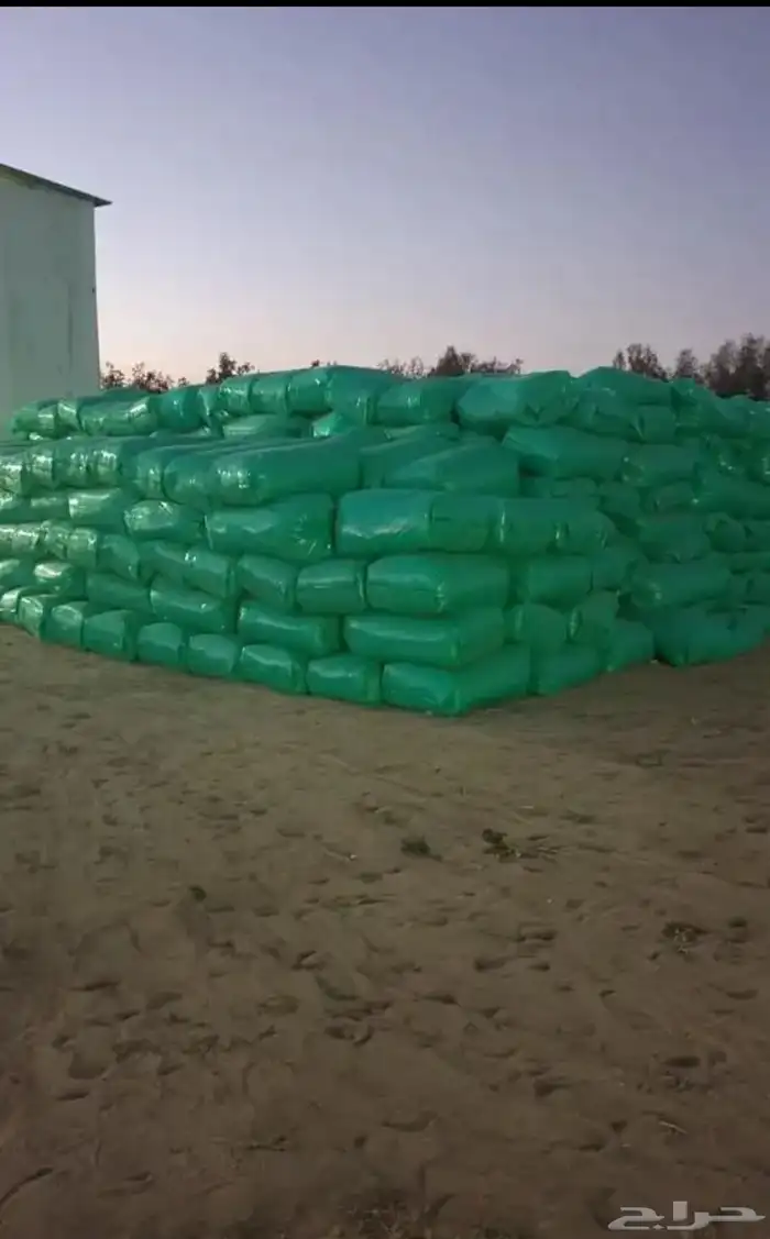 نشارة خشب 2