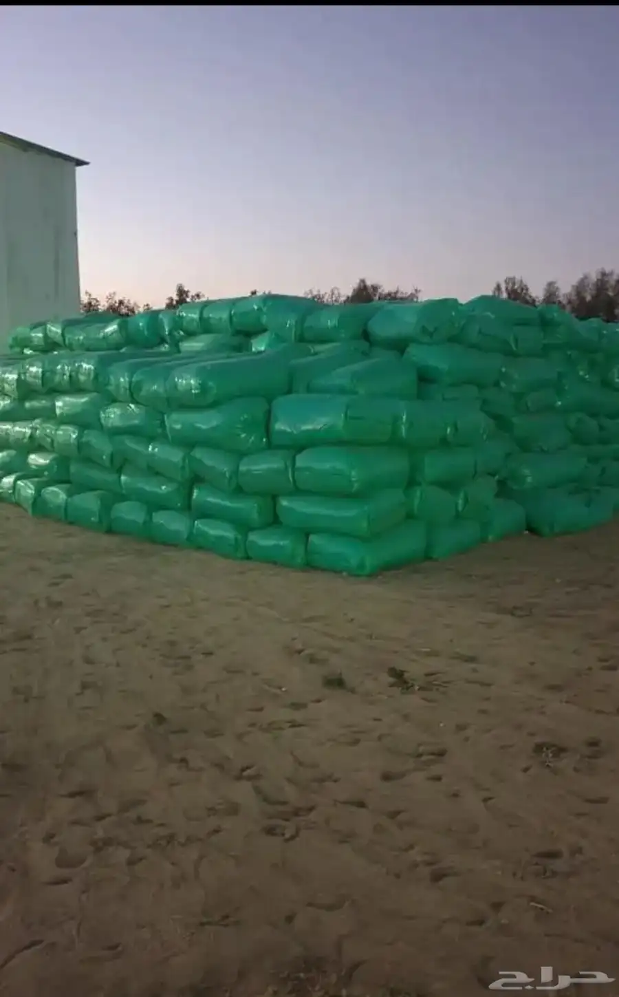 نشارة خشب 2