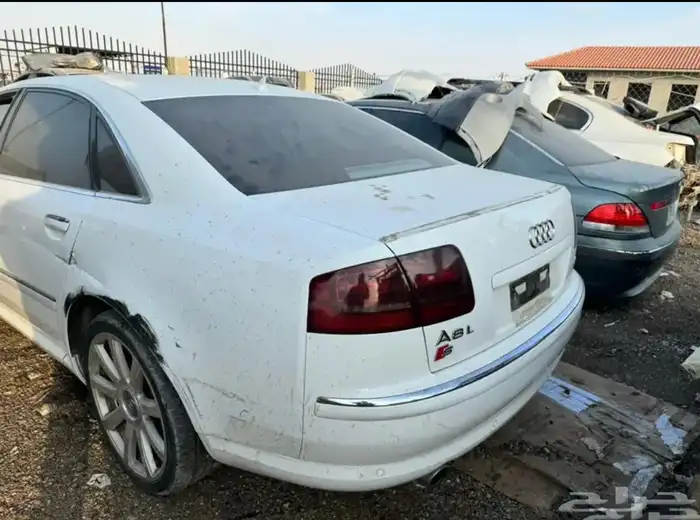 مندوب تشليح الحاير والسلي 2