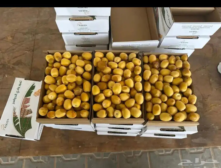 رطب خلاص وادي الدواسر كفو ونظيف 1