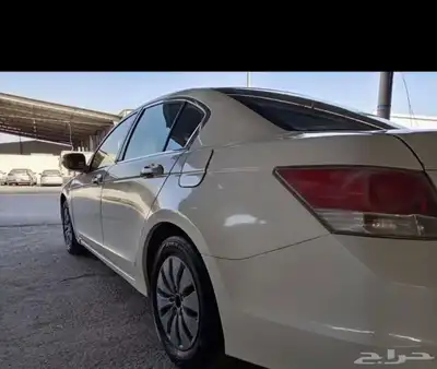 كداد القصيم المدينة المنورة الرياض 0