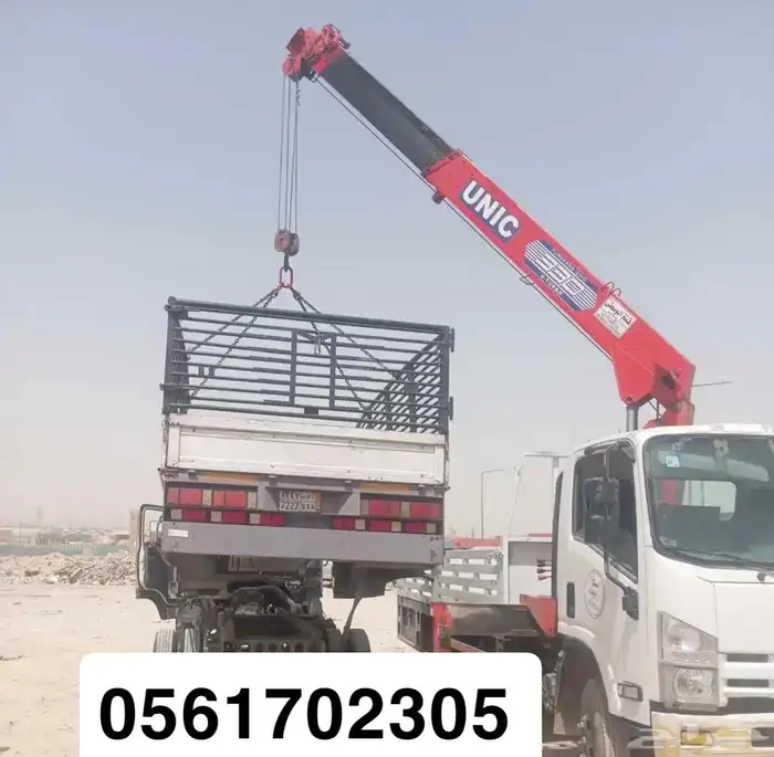 صندوق دينا للفحص الدوري 0