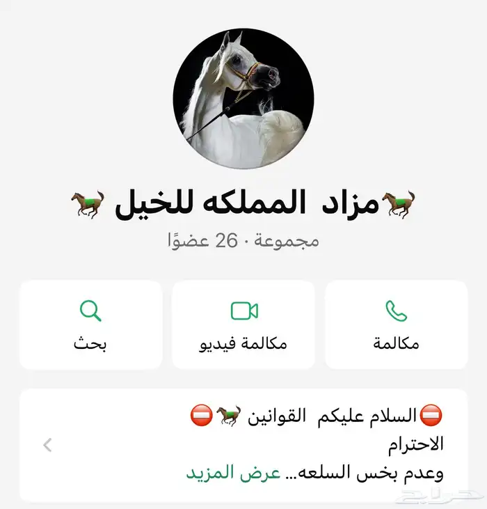 مزاد المملكه للخيل 0