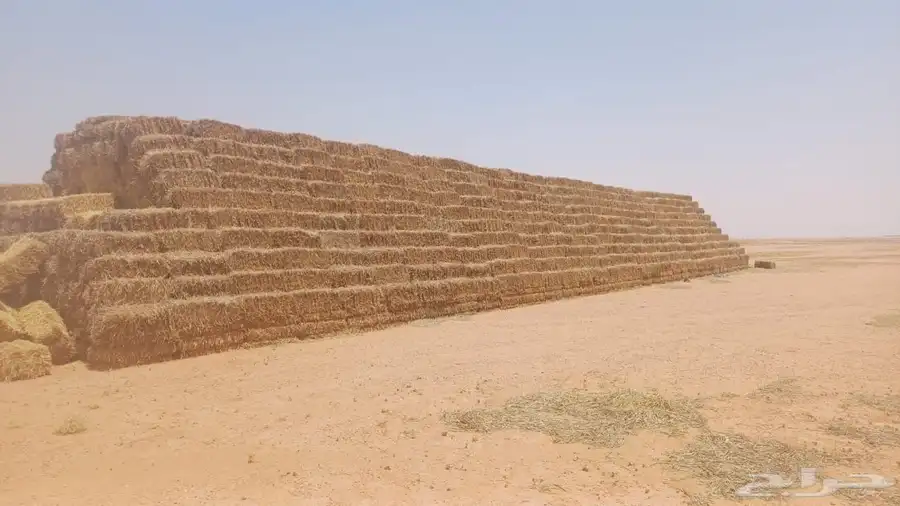 اعلاف للبيع تبن 2