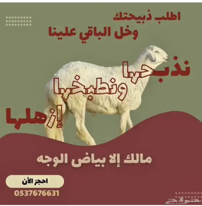 ذبايح اقصاد تابي تمارا مع التوصيل 0