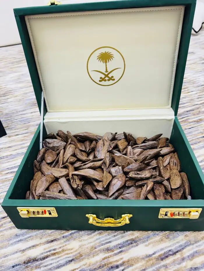 العود الاندنوسي الفاخر 29