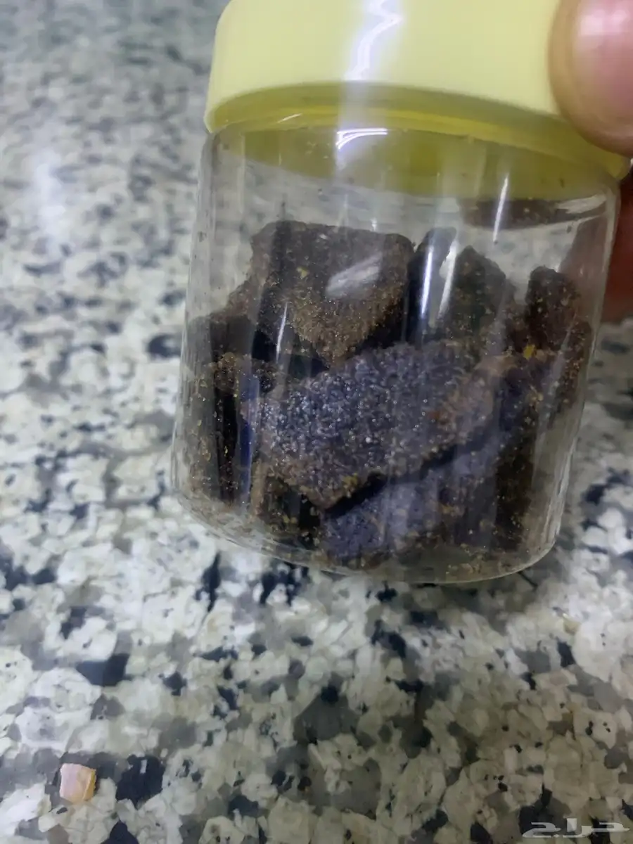 روح وريحان 0