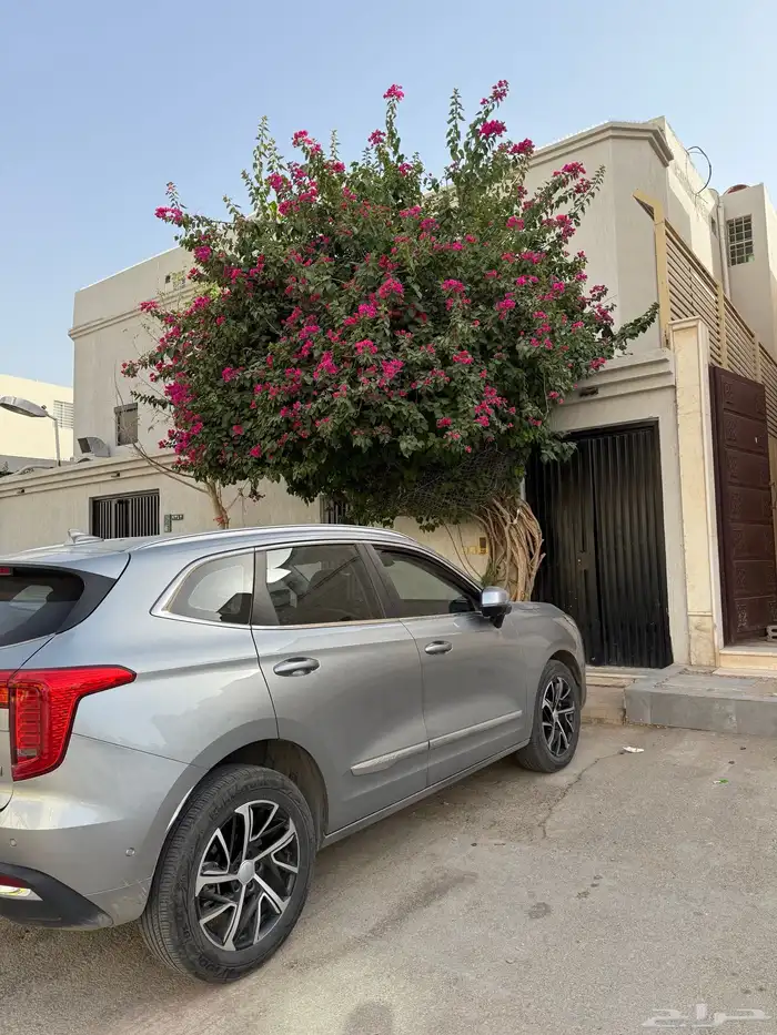 هافال جوليان 2022 فل كامل للتنازل بدون مقابل 6