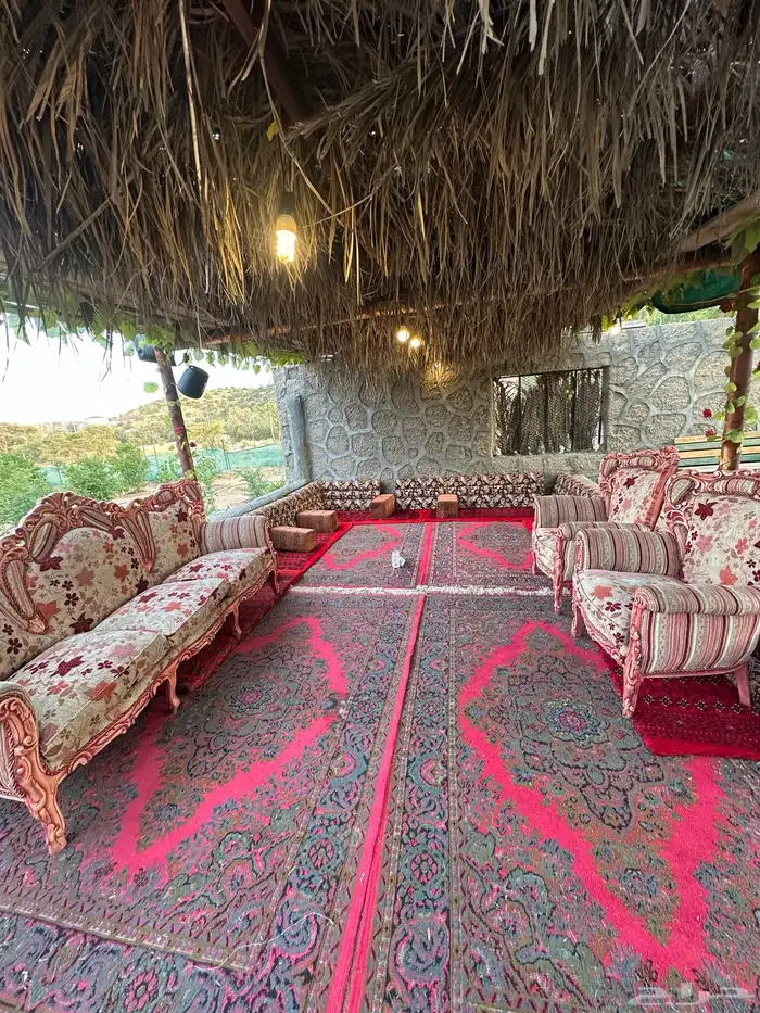 استراحة المزرعه للإيجار اليومي الشفا - وادي غزال 3