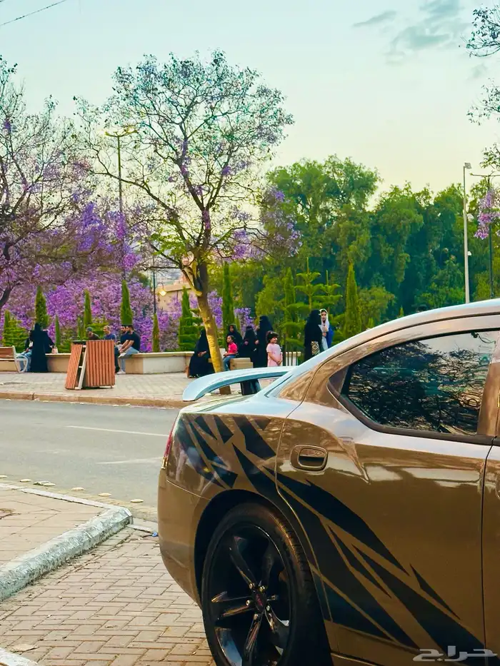 تم البيع 8
