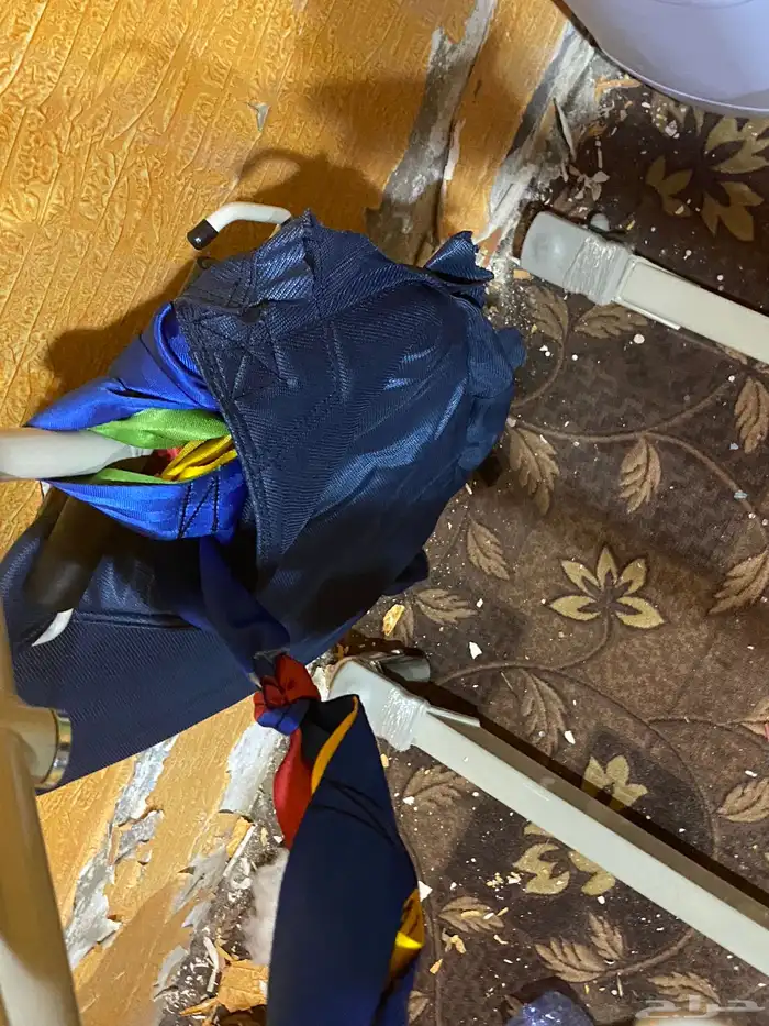 حماله لذو احتياجات الخاصه 4