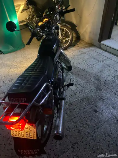 دباب للايجار 1