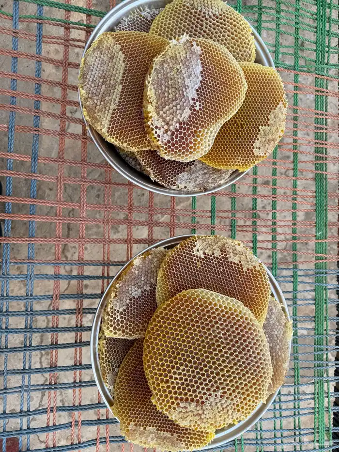 عسل شمع سمره بلدي من نحلي مباشره( انباع) ( انباع ) 1