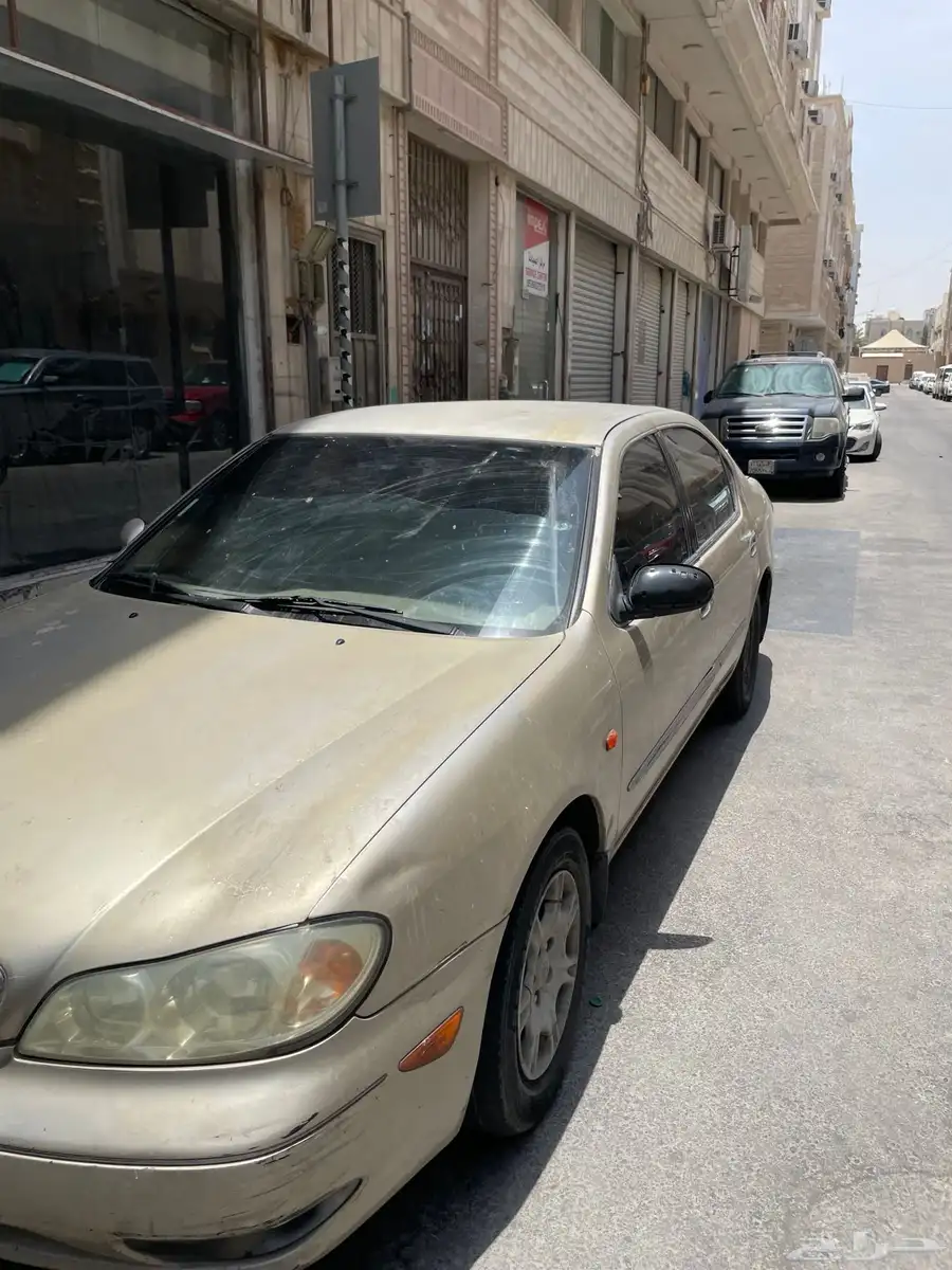 مكسيما 2001 4