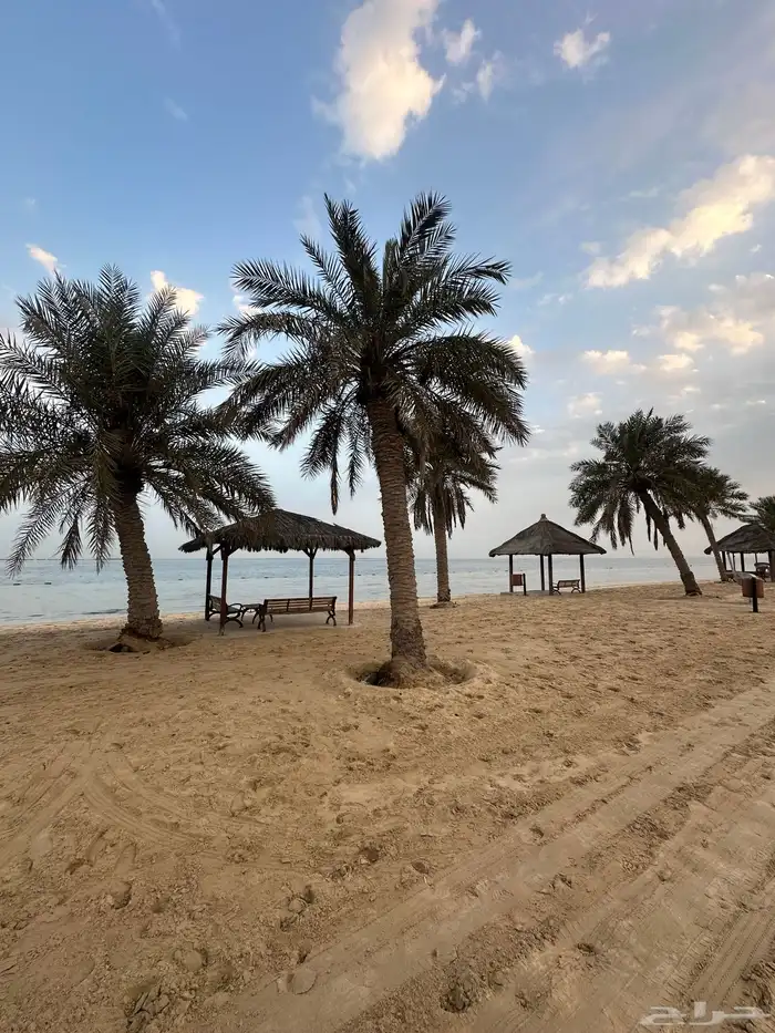 العاب بحريه وترفيه صيفيه في شاليه على البحر الهاف مون 19