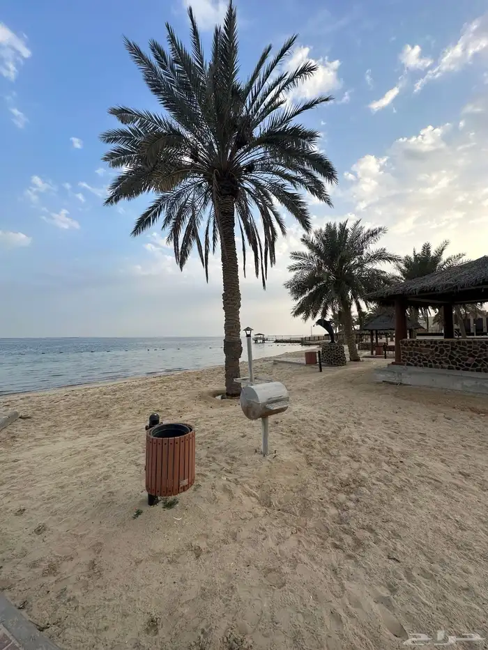 العاب بحريه وترفيه صيفيه في شاليه على البحر الهاف مون 20