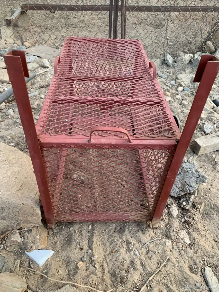 شبكه صيد 3