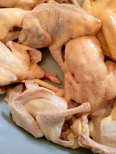 زغاليل ذبح ساعه 2