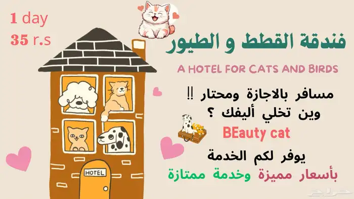 فندقة قطط و طيور 0