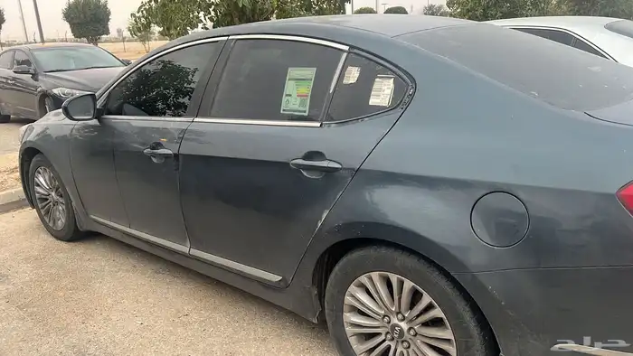 كادنزا للبيع 6