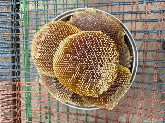 عسل شمع سمره بلدي من نحلي مباشره( انباع) ( انباع ) 2